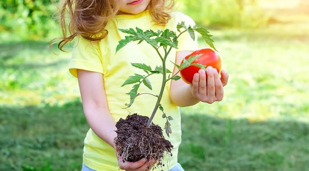 Best Veggies and Fruit to Grow With Kids as Easy and Fun Activities